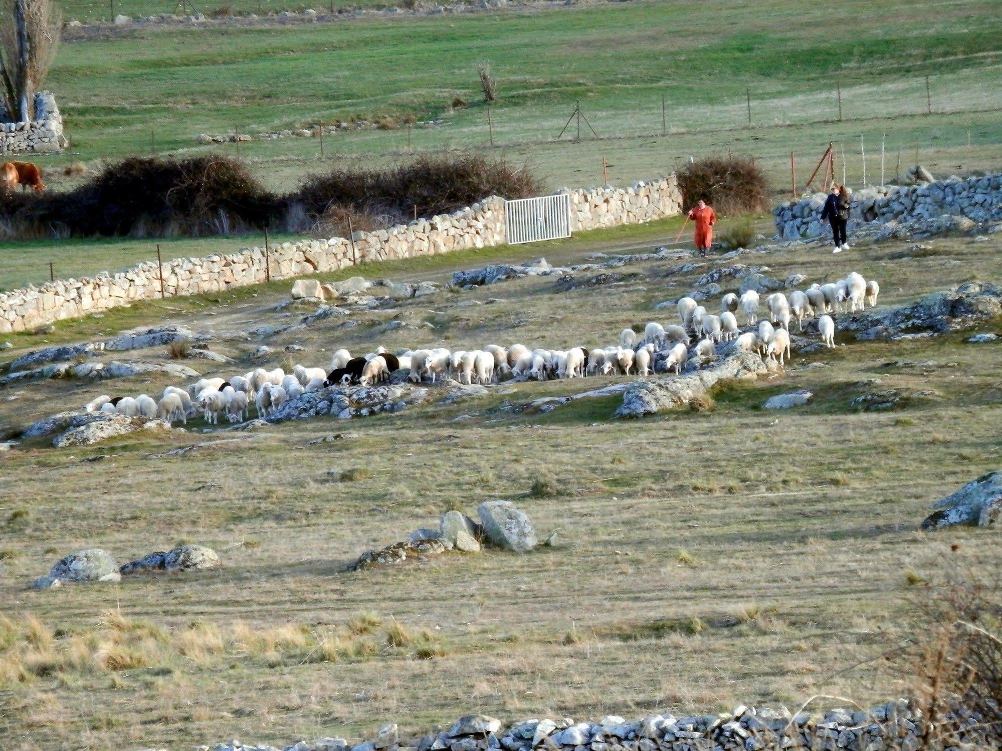 Casa Rural El Dolmen Bernuy-Salinero Exterior photo